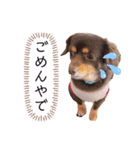 私の大切な子供たち1（個別スタンプ：1）