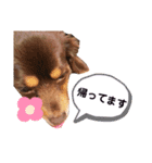 私の大切な子供たち1（個別スタンプ：2）