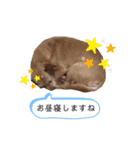 私の大切な子供たち1（個別スタンプ：8）