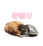 kinaco＆mame Vol.2（個別スタンプ：1）