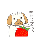 くっきぃ＆ポケ スタンプ（個別スタンプ：7）