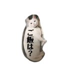 ぎんの日常である2（個別スタンプ：4）