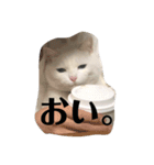 ぎんの日常である2（個別スタンプ：6）