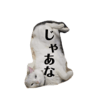 ぎんの日常である2（個別スタンプ：7）