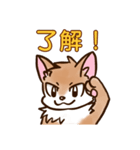 ケモノさんスタンプ（日常会話編）（個別スタンプ：14）