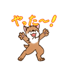 ケモノさんスタンプ（日常会話編）（個別スタンプ：17）