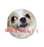 tiwawan2（個別スタンプ：3）