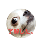 tiwawan2（個別スタンプ：5）
