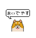 ドット絵！京都弁の柴犬（個別スタンプ：1）