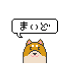 ドット絵！京都弁の柴犬（個別スタンプ：3）