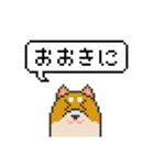 ドット絵！京都弁の柴犬（個別スタンプ：4）