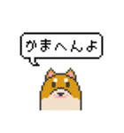 ドット絵！京都弁の柴犬（個別スタンプ：5）