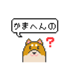 ドット絵！京都弁の柴犬（個別スタンプ：6）