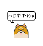 ドット絵！京都弁の柴犬（個別スタンプ：10）