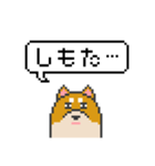 ドット絵！京都弁の柴犬（個別スタンプ：11）
