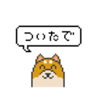 ドット絵！京都弁の柴犬（個別スタンプ：23）