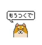 ドット絵！京都弁の柴犬（個別スタンプ：24）
