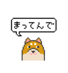 ドット絵！京都弁の柴犬（個別スタンプ：25）