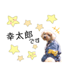 コタミユ兄妹のスタンプ2（個別スタンプ：1）