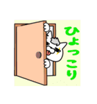 不良猫物語（個別スタンプ：39）