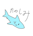 SAME-サメ-（個別スタンプ：13）