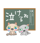 猫の学校、黒板メッセージ（個別スタンプ：37）