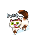 うみゃ～のスタンプ（個別スタンプ：13）