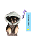 敬語Ver✩（個別スタンプ：2）