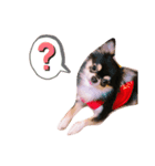 敬語Ver✩（個別スタンプ：3）