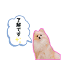 敬語Ver✩（個別スタンプ：4）