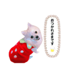 敬語Ver✩（個別スタンプ：7）