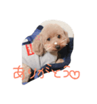 こむぎ0128（個別スタンプ：2）