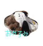 こむぎ0128（個別スタンプ：3）