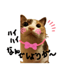 我が家娘息子達（個別スタンプ：2）