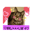 我が家娘息子達（個別スタンプ：4）