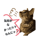 我が家娘息子達（個別スタンプ：5）