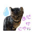 我が家娘息子達（個別スタンプ：7）