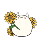 まるいにゃんこ ～夏～（個別スタンプ：16）