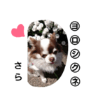さら©（個別スタンプ：8）