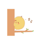 フォトスタジオcocoaのココちゃん（個別スタンプ：6）