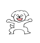 マルチーズかな？（個別スタンプ：1）
