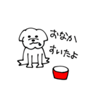 マルチーズかな？（個別スタンプ：3）