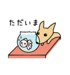ポチとしらたま（個別スタンプ：1）