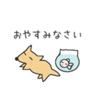 ポチとしらたま（個別スタンプ：4）