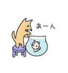 ポチとしらたま（個別スタンプ：5）