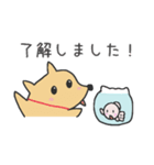 ポチとしらたま（個別スタンプ：9）