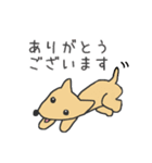 ポチとしらたま（個別スタンプ：14）