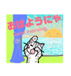 にゃんころりん、毎日使えるスタンプ♪（個別スタンプ：1）