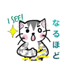 にゃんころりん、毎日使えるスタンプ♪（個別スタンプ：18）