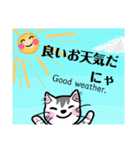にゃんころりん、毎日使えるスタンプ♪（個別スタンプ：22）